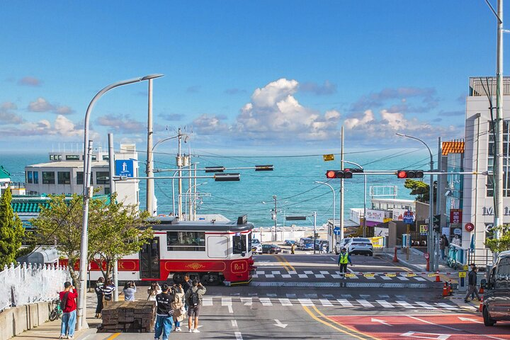 Experience stunning ocean views while gliding along the coast on the beach train surrounded by Busan's coastal charm and inviting local flavors waiting at Mipo Station.